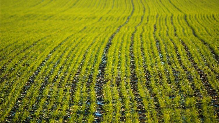 Η Δανική προεδρία και το μέλλον της ΚΑΠ: Απλούστευση και πράσινη μετάβαση στο επίκεντρο