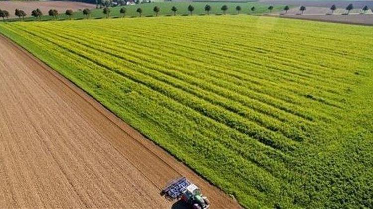 Ουκρανία: Βόμβες και νάρκες που δεν έχουν εκραγεί απειλούν τη γεωργική παραγωγή