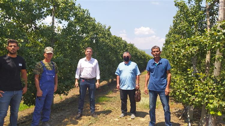 Σημαντικές ζημιές σε καλλιέργειες στα χωριά της Ελασσόνας