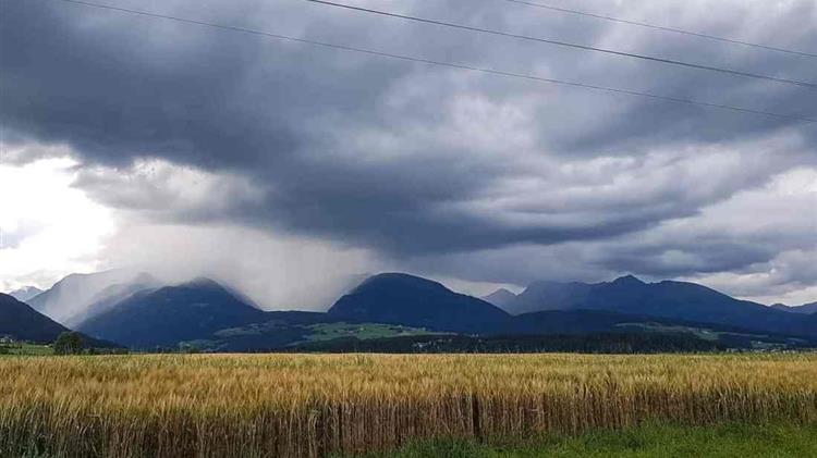 Securing food, protecting biodiversity