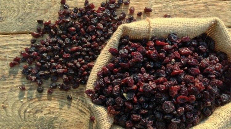 Μεσσηνία: Σε αδιέξοδο οι παραγωγοί - Στα αζήτητα η σταφίδα της φετινής παραγωγής