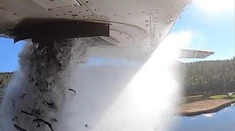 Βρέχει ψάρια στους ουρανούς των ΗΠΑ