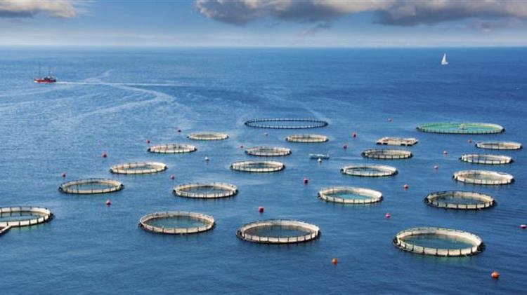 Συμμετοχή της ΕΛΟΠΥ σε συνέδριο υδατοκαλλιέργειας και αλιείας στη Νορβηγία