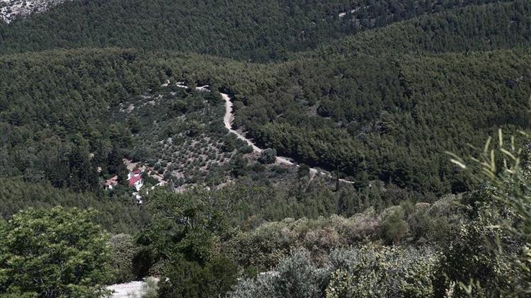 Ισχυρό πλέγμα μέτρων προστασίας για τον Υμηττό