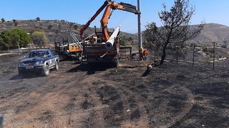 Σκρέκας: Προχωρούν, με εντατικό ρυθμό, οι άμεσες ενέργειες για την αποκατάσταση των πληγεισών περιοχών