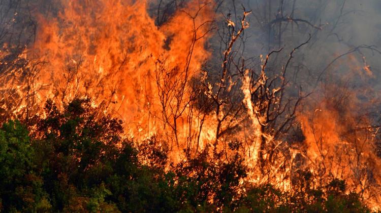 Απορρόφηση ευρωπαϊκών κονδυλίων για την πρόληψη και την αντιμετώπιση των πυρκαγιών στην Ελλάδα