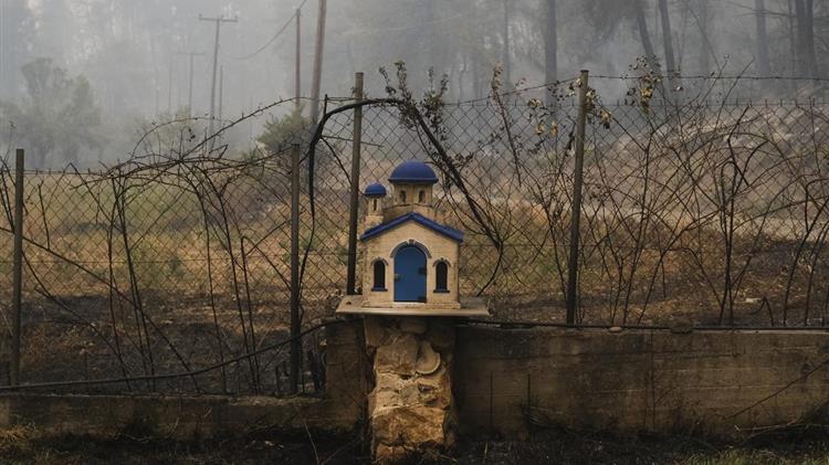 Β. Εύβοια: Το προφίλ της παραγωγής που χάθηκε στις στάχτες