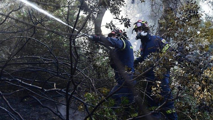 Ξανθόπουλος (ΕΛΓΟ ΔΗΜΗΤΡΑ): Έλλειψη σχεδιασμού και επιχειρησιακά λάθη