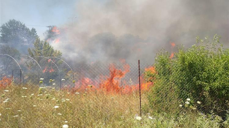 Ευφυές σύστημα έγκαιρης πυρανίχνευσης για τα δάση της εγκαθίσταται στην Αλόννησο