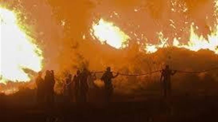 Μεσσηνία: Οι ζημιές από πυρκαγιές και η διανομή ζωοτροφών