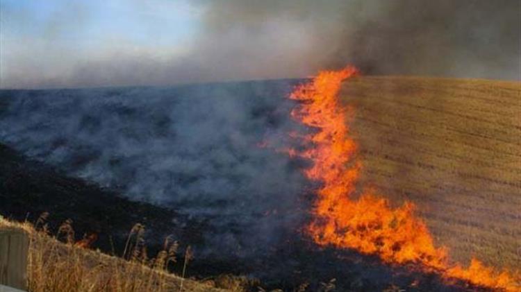 Καμπανάκι κίνδυνου για τον κίνδυνο πρόκλησης πυρκαγιάς από την καύση καλαμιών