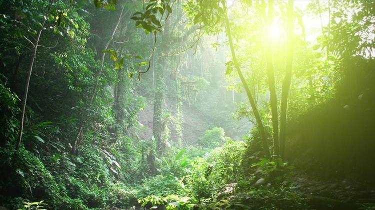 Ξαναανακαλύπτοντας τα «τσελιγκάτα»! ….