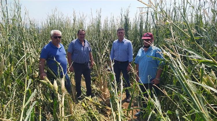 Κλιμάκιο του ΕΛΓΑ στις πληγείσες περιοχές της Ελασσόνας