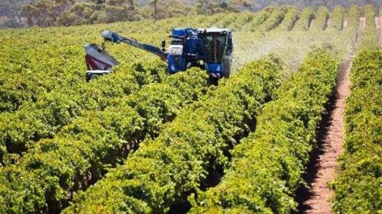 Το σύστημα συλλογής με καδάκια Noria για τις μηχανές συγκομιδής Braud της New Holland