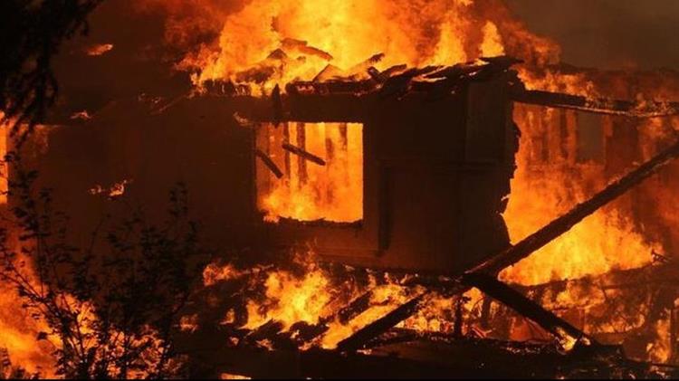 Επιχορήγηση αγροτικών εκμεταλλεύσεων πυρόπληκτων αγροτών