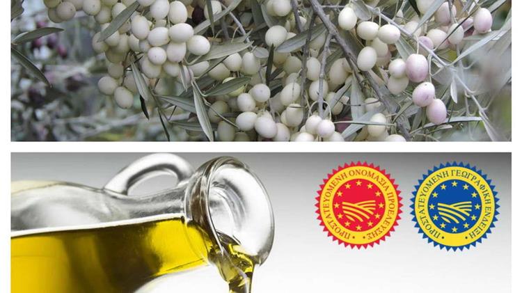 Ανδρέας Κτενάς: «Προστατεύουμε και αναδεικνύουμε την Ασπρολιά, ένα σημαντικό θησαυρό της Λευκαδίτικης γης»