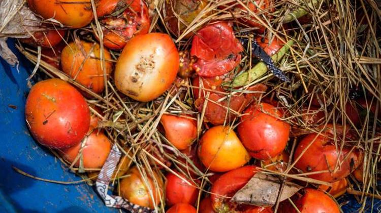 The scourge of food loss and waste needs to be urgently tackled to achieve the world's 2030 target