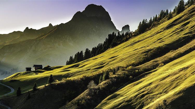 Σε κίνδυνο για εξαφάνιση σχεδόν το ένα στα τρία είδη δέντρων της Γης