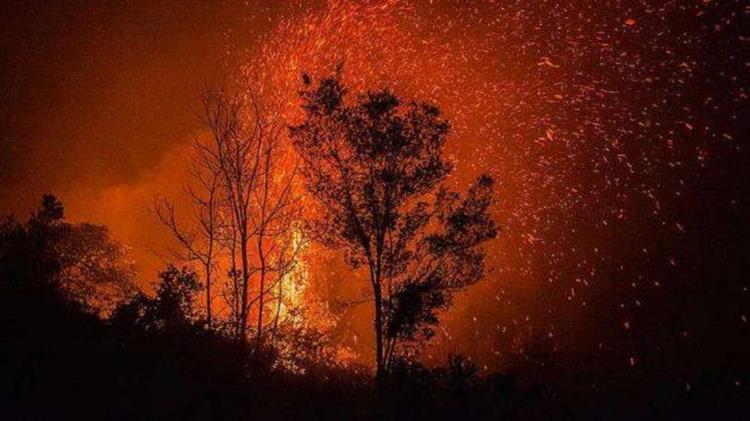 Ένα τρίτο των δασικών πυρκαγιών στη Βόρεια Αμερική προκαλείται από τα ορυκτά καύσιμα