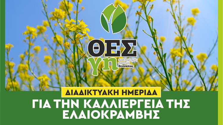 Διαδικτυακή Ημερίδα Ελαιοκράμβης