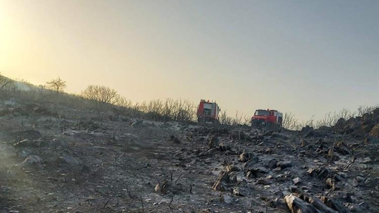 Σύσκεψη στην Τρίπολη για τις αποζημιώσεις των πυρόπληκτων παραγωγών και κτηνοτρόφων στις Π.Ε. Αρκαδίας, Λακωνίας και Μεσσηνίας