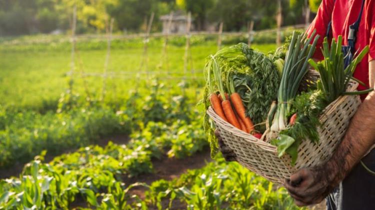 ΟΠΕΚΕΠΕ: Υποβολή παραστατικών του Μέτρου 11 «Βιολογικές καλλιέργειες» έτους 2024