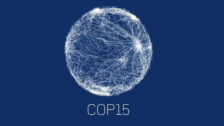 Copa Cogeca: Statement on the occasion of COP15