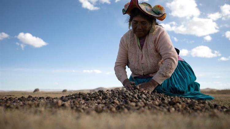 Περού: Αγροτική μεταρρύθμιση χωρίς «απαλλοτρίωση γαιών» αναγγέλλει ο πρόεδρος Πέδρο Καστίγιο
