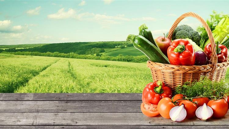 DW: Γιατί διαμαρτύρονται οι αγρότες βιολογικών προϊόντων στη Γερμανία;