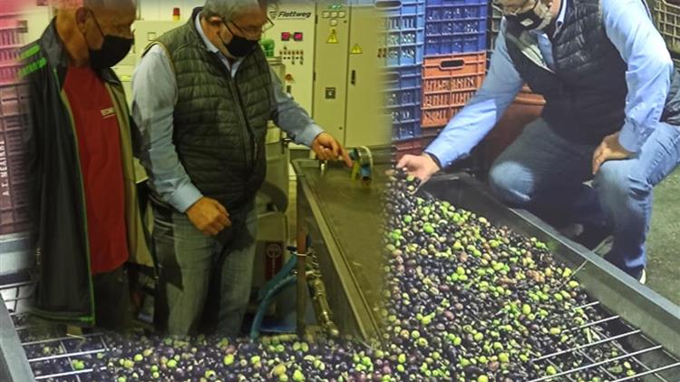 Με «καψάλα» …μυσταγωγούμε στα λιοτρίβια τις νύχτα περιμένοντας να πάρουμε το ευλογημένο ελαιόλαδο μας ! ! !