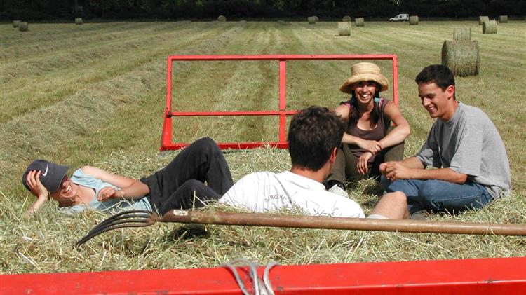 Θεσσαλία: Αυξάνονται σε 1.524 οι δικαιούχοι Νέοι Γεωργοί