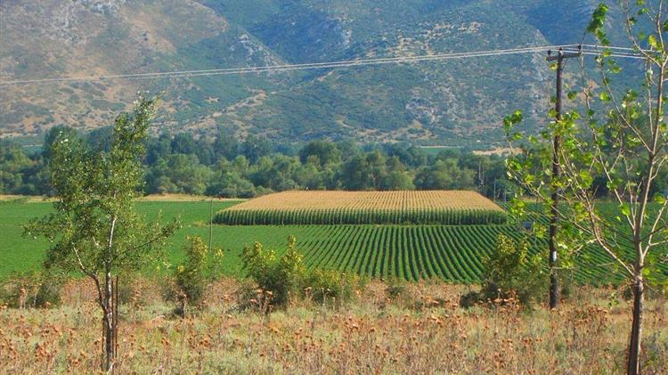 "Ύδωρ 2.0", Εξαγγελίες....