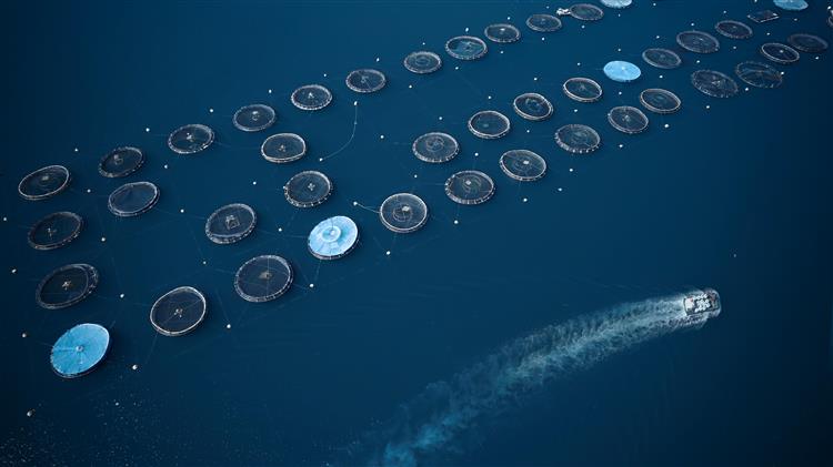 7η Ετήσια Έκθεση Υδατοκαλλιέργειας 2021