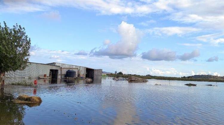 Τεράστιες καταστροφές σε καλλιέργειες και κτηνοτροφικές μονάδες στον κάμπο του Λεσινίου της Αιτωλοακαρνανίας