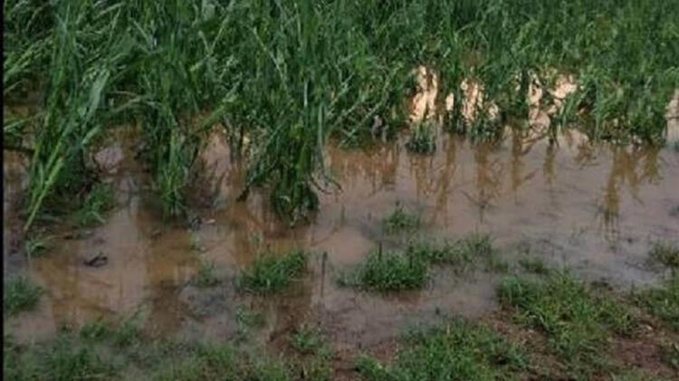 Ζημιές σε καλλιέργειες στην περιοχή του Ηρακλείου της Κρήτης λόγω χαλαζόπτωσης