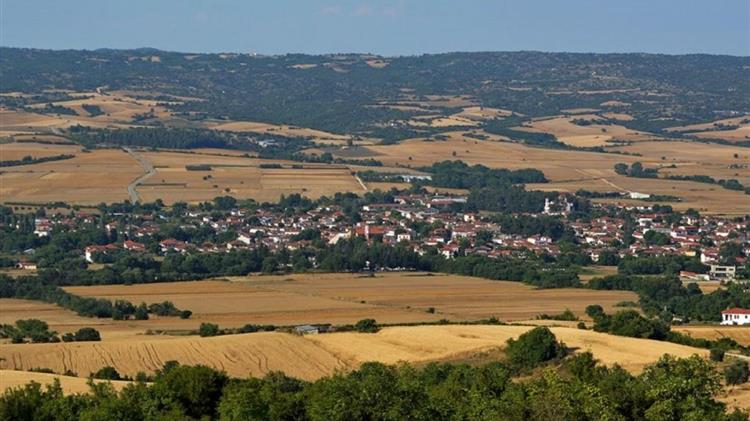 Αιφνίδια διακοπή λειτουργίας εταιρείας επεξεργασίας αγροτικών προϊόντων στην Θεσσαλονίκη