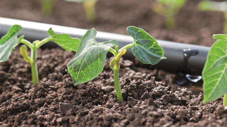 Παράταση προθεσμίας για υποβολή προτάσεων αναφορικά με εγγειοβελτιωτικά έργα