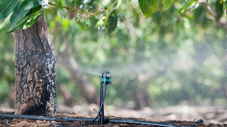 Ενιαίος Αγροτικός Σύλλογος Ιεράπετρας: ΕΤΜΕΑΡ για το σύνολο των αγροτών /κτηνοτρόφων