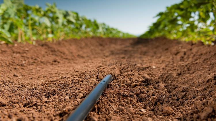 Κόκκαλης: «Δώστε λύση χθες για την άρδευση»