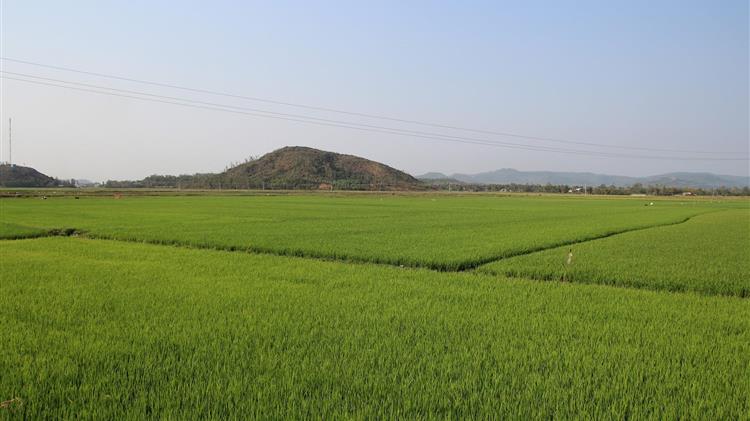 ΟΠΕΚΕΠΕ: Παράταση στην υποβολή αιτήσεων μεταβίβασης δικαιωμάτων