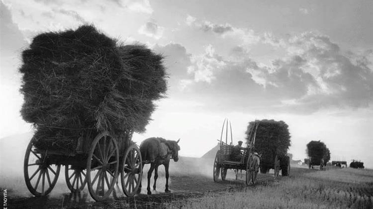 Στα κάγκελα οι αγρότες με τον ΟΠΕΚΕΠΕ: Απλήρωτα δικαιώματα λόγω τεχνικών σφαλμάτων αλλά πληρωμή στον ΕΛΓΑ για μη επιλέξιμα χωράφια