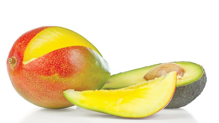 Δημιουργία δοκιμαστικών αγρών με υποτροπικά φυτά συμφώνησαν ΕΛΓΟ ΔΗΜΗΤΡΑ και Περιφέρεια Πελοποννήσου