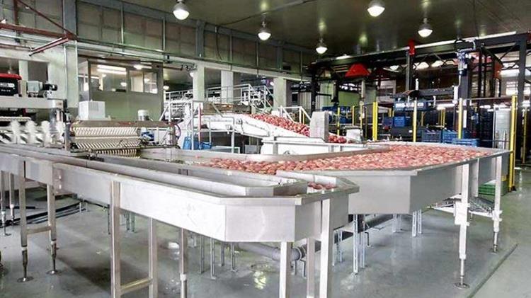 Αγροτικός Συνεταιρισμός Ζαγοράς Πηλίου: Υπερσύγχρονο Διαλογητήριο Mήλων