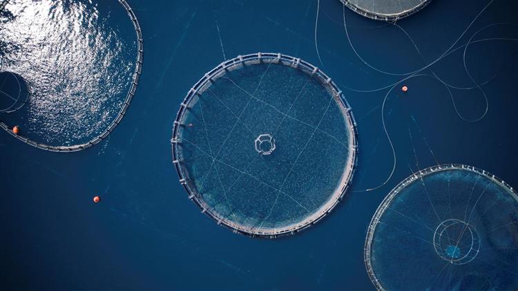 Δόθηκε παράταση στις αιτήσεις για τις υδατοκαλλιέργειες