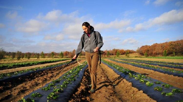 Ο ΟΠΕΚΕΠΕ ζητά απολυτήριο Λυκείου για την ενίσχυση των αγροτών!