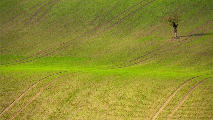 Ποιο είναι το όφελος των παραγωγών από την Κοινή Αγροτική Πολιτική 2014-2020;