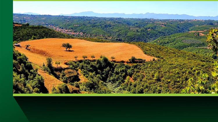 «ΓΕΩΡΓΙΑ ΝΕΑ ΓΕΝΙΑ» - «ΙΔΡΥΜΑ FOLLOE»: εγκαινιάζουν συνεργασία για την ανάπτυξη του αγροδιατροφικού τομέα στο χωριό Μηλιές Ηλείας