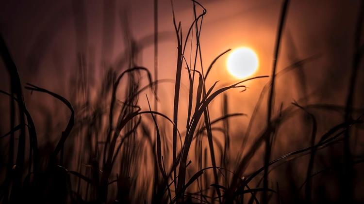 Κλιματική αλλαγή: Πόλη της Αυστραλίας έβρασε στην ακραία θερμοκρασία των 50,7 βαθμών Κελσίου