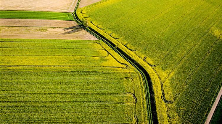 ΟΠΕΚΕΠΕ: Νέα τροποποίηση των διαδικασιών υποβολής και ελέγχου αιτημάτων άρσης επικάλυψης, επιλεξιμότητας, ένταξης σε περιφέρεια έτους αιτήσεων 2021