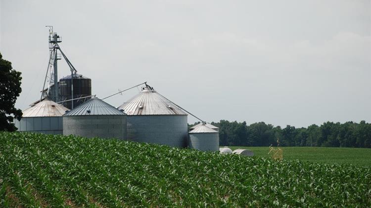 Λιβανός: Θα κερδίσουμε το στοίχημα για ανάκαμψη